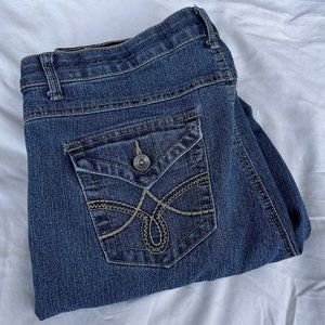 Gently used Cato Premium women's riveted 5-pocket stretchable jeans Size 16WP